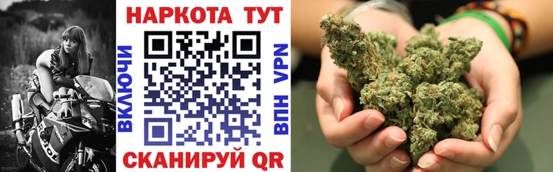 Где купить наркотики Волгодонск АМФ  Псилоцибиновые грибы  Гашиш  COCAIN  МЕФ 