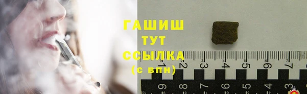 гидра Гусиноозёрск