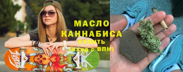 гидра Гусиноозёрск