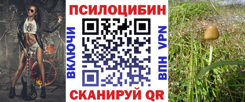 Псилоцибиновые грибы Magic Shrooms  ссылка на мегу ссылки  Волгодонск  сколько стоит 