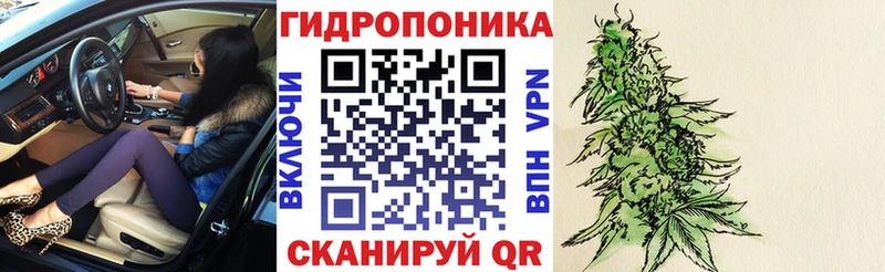 наркота  Волгодонск  Каннабис индика 